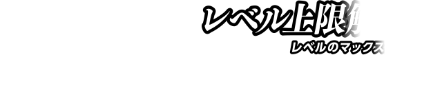レベル上限解放！レベルのマックス値が...Lv 250»Lv300